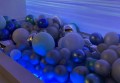 上海浦东新区塘桥街道附近酒吧招聘点歌公主,(好上班的不挑人)