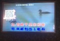 尊享奢华接送服务，杭州KTV娱乐之夜